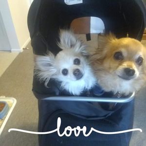 Meet your Posher, Helen